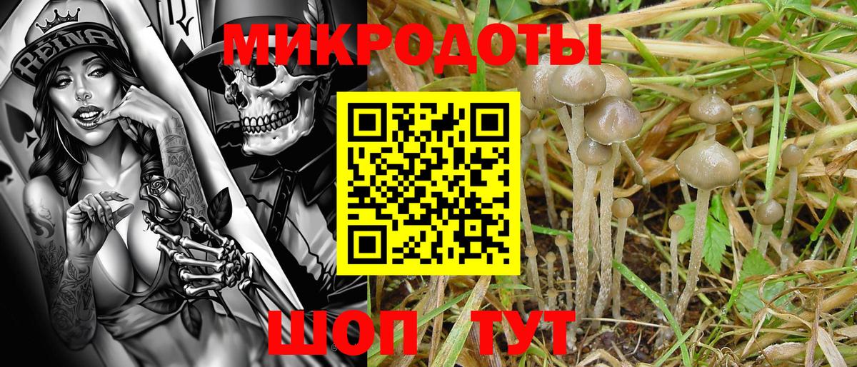 Бузулук  Псилоцибиновые грибы Psilocybe  как найти наркотики  Галлюциногенные грибы прущие грибы  Вход с VPN 